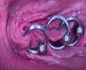 Extreme Close Up Pee and My Pierced Pussy and Clit Compilation 4 Videos from camel pissing piano