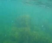 Crazy diver took me on camera while I am swimming in the sea and flashing my hairy pussy from mare sex menitts photo
