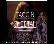 Taggin Cheetah - Thique Interracial Safari TowerVisionblowjob from xxxx karna