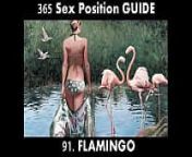 फ्लेमिंगो सेक्स पोजीशन - इंस्टाग्राम पर मशहूर पिंक फ्लेमिंगो बर्ड से प्रेरित सेक्स पोजीशन। पत्नी को ऑर्गेज्म देने के लिए बेस्ट सेक्स पोजीशन। (नई 365 सेक्स पोजीशन कामसूत्र हिंदी में) from pulkixxx bird dare sexy