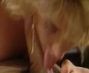 Vintage Blonde Babe Getting Sex Attention from silat sex filmndian classic porn