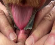 Licking and sucking MILF clit from clitoriy