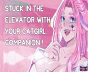 [F4M] stuck in the elevator with your catgirl companion [ASMR roleplay] [suzyqlewd] from big busty shez