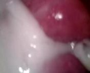 Inside Cam creamy pussy from anoma janadari sex sri lankan video 3gpta