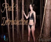 Shakespeare in the Woods at Night: Puck's Introduction from anandi tripathi xxx caira advani nude
