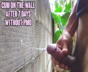 INDONESIAN DICK - Cum on the Wall After 7 days without PMO from pmo